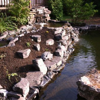 pond-landscaping