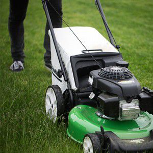 lawnmower-grass