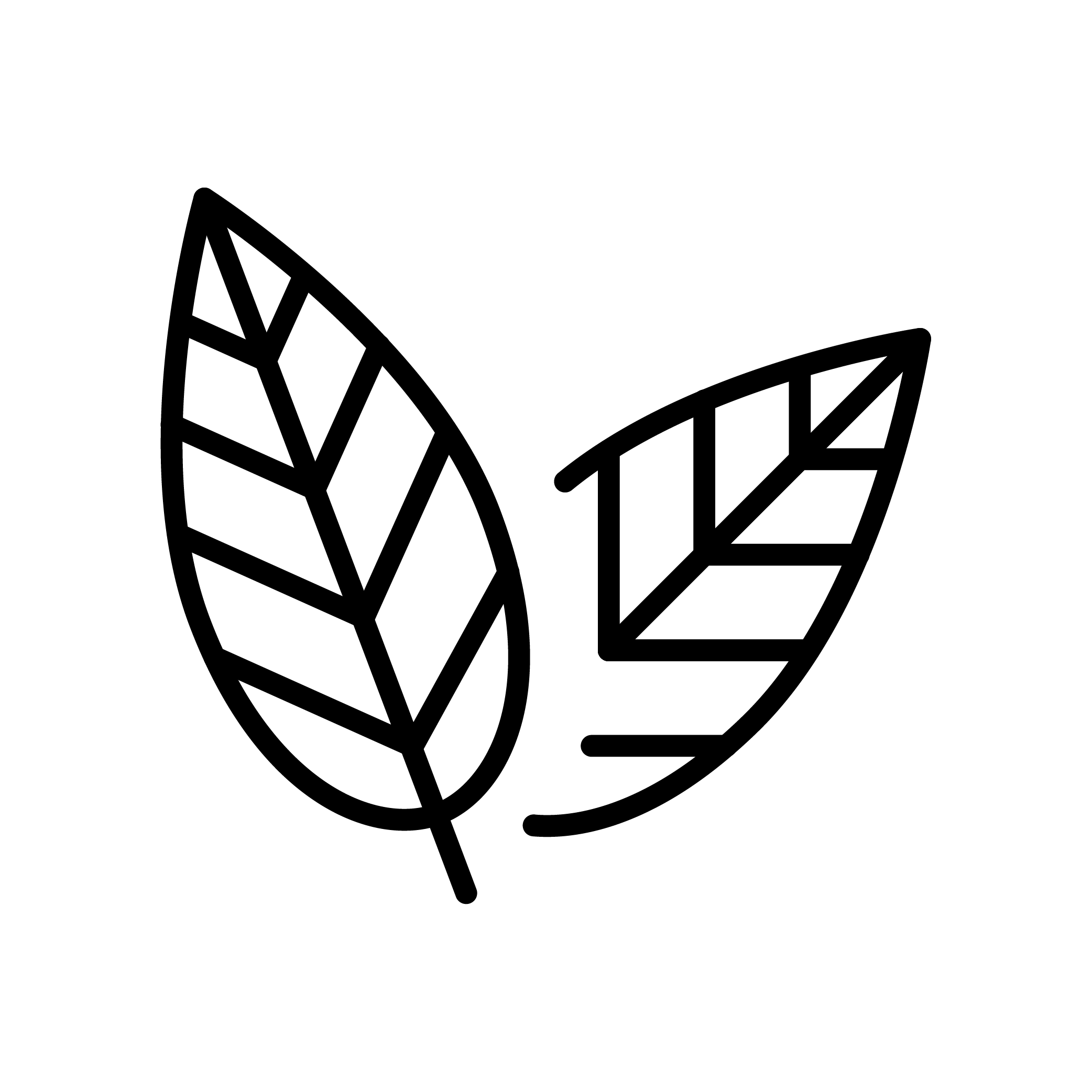 Icons_clog-free