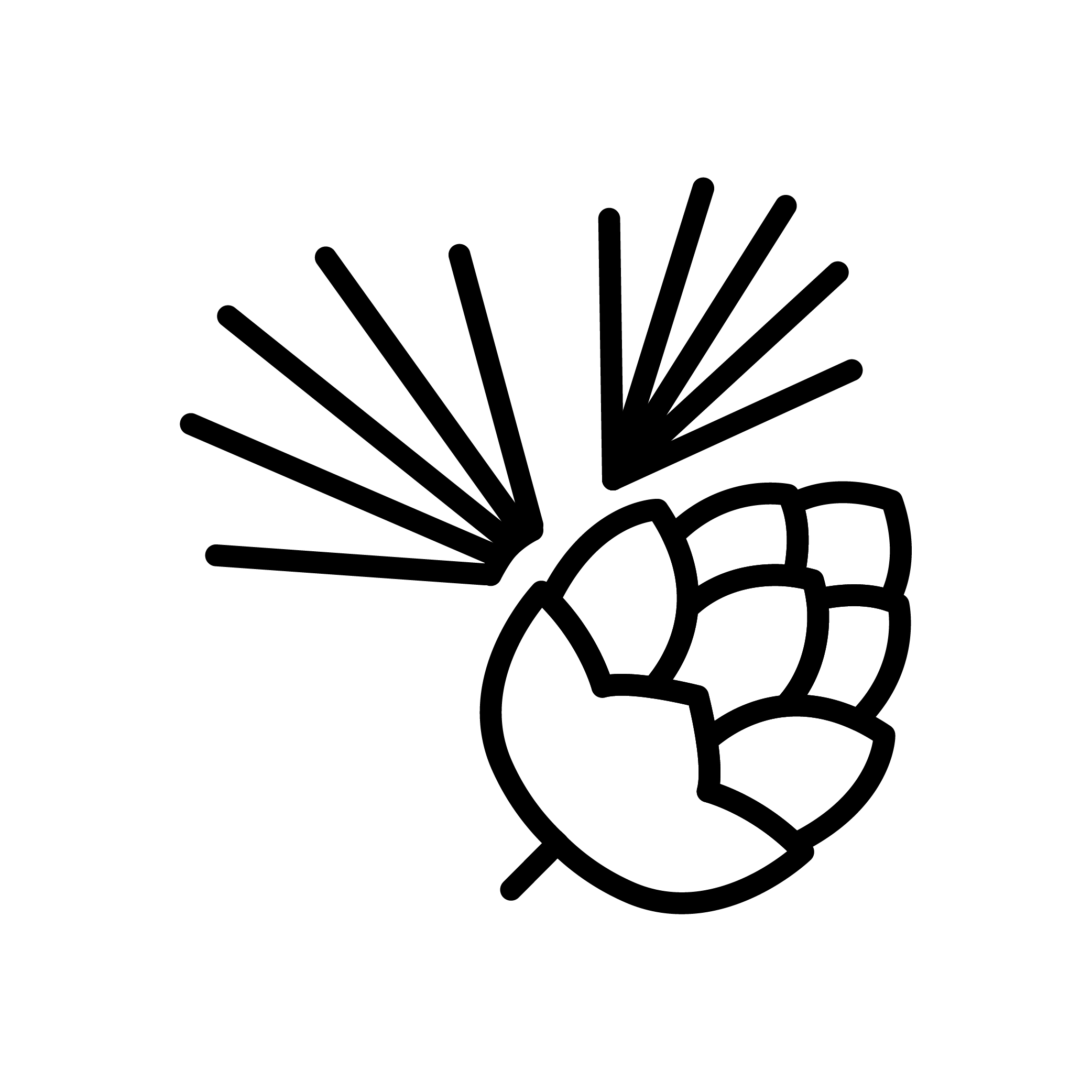 Icons_fine-debris