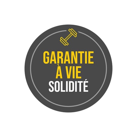 thumbnail-badge-t-rex-FR