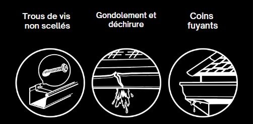 raisons hover raisons hover